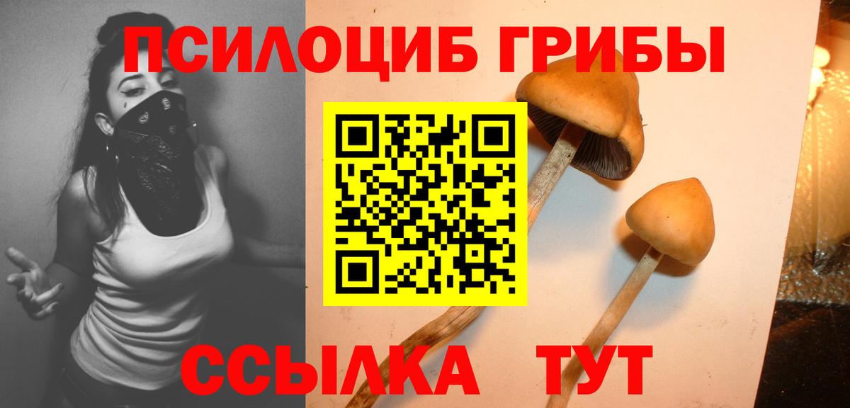 Псилоцибиновые грибы Psilocybe  Вход с VPN  Ейск 